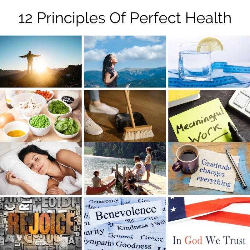 12 Principles Of Perfect Health
