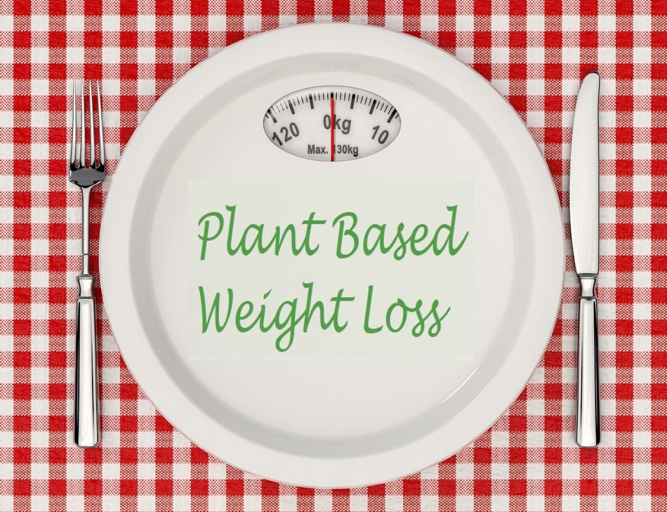 Plant Based Weight Loss